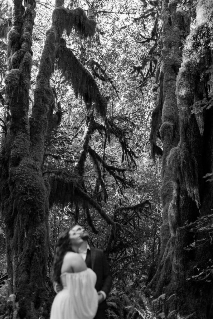 Black and white image where the bride and groom is blurry, and facing up towards the mossy trees above them. 