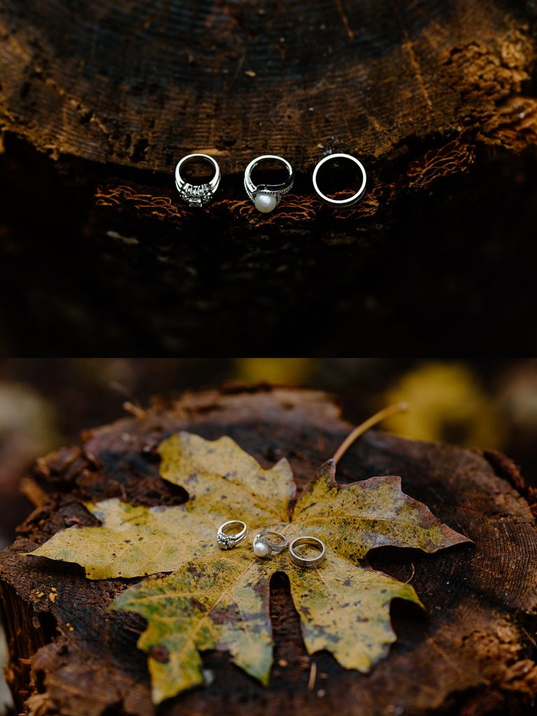 Fall wedding rings and details