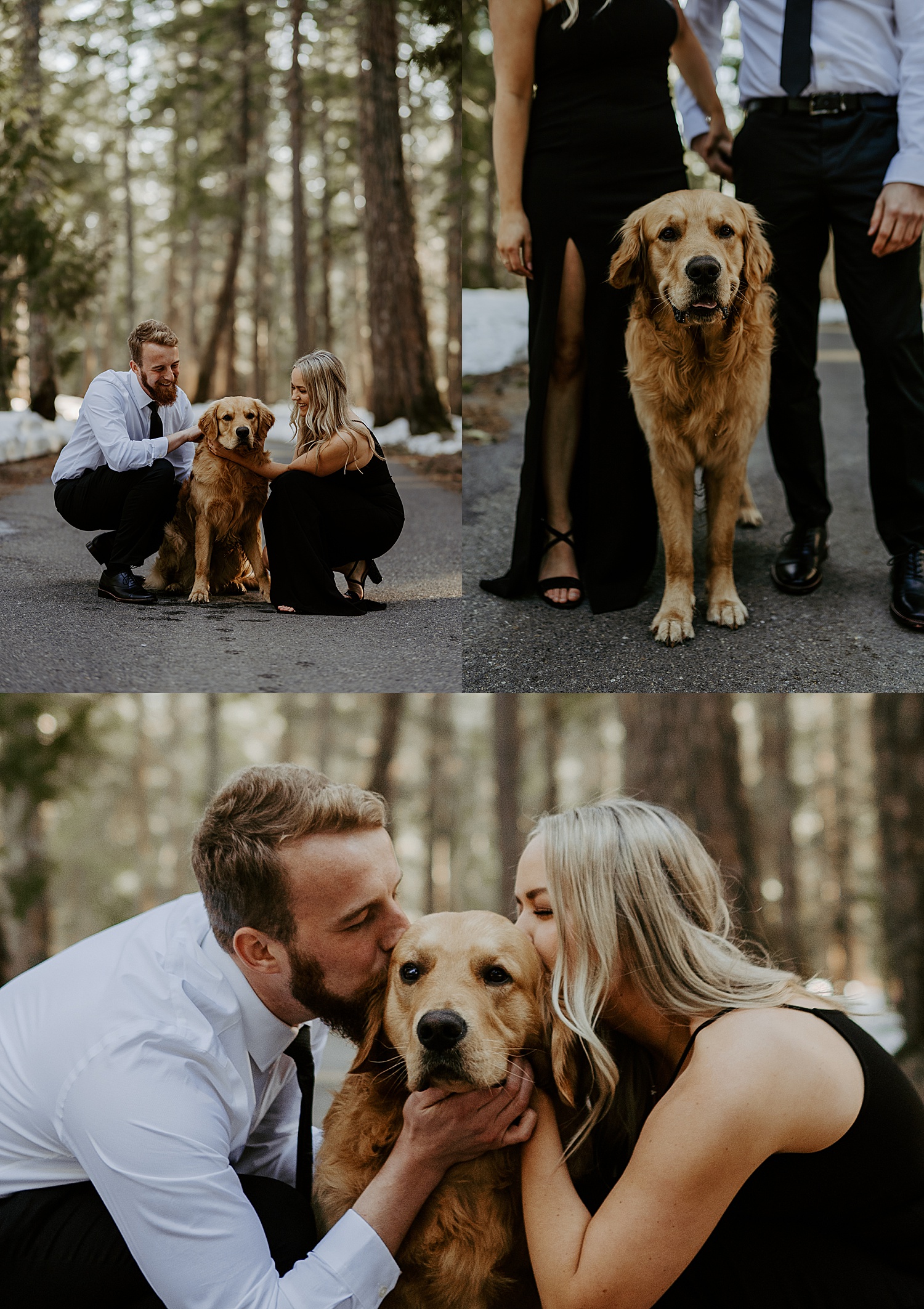 engaged couple posing with their golden retriever for photos