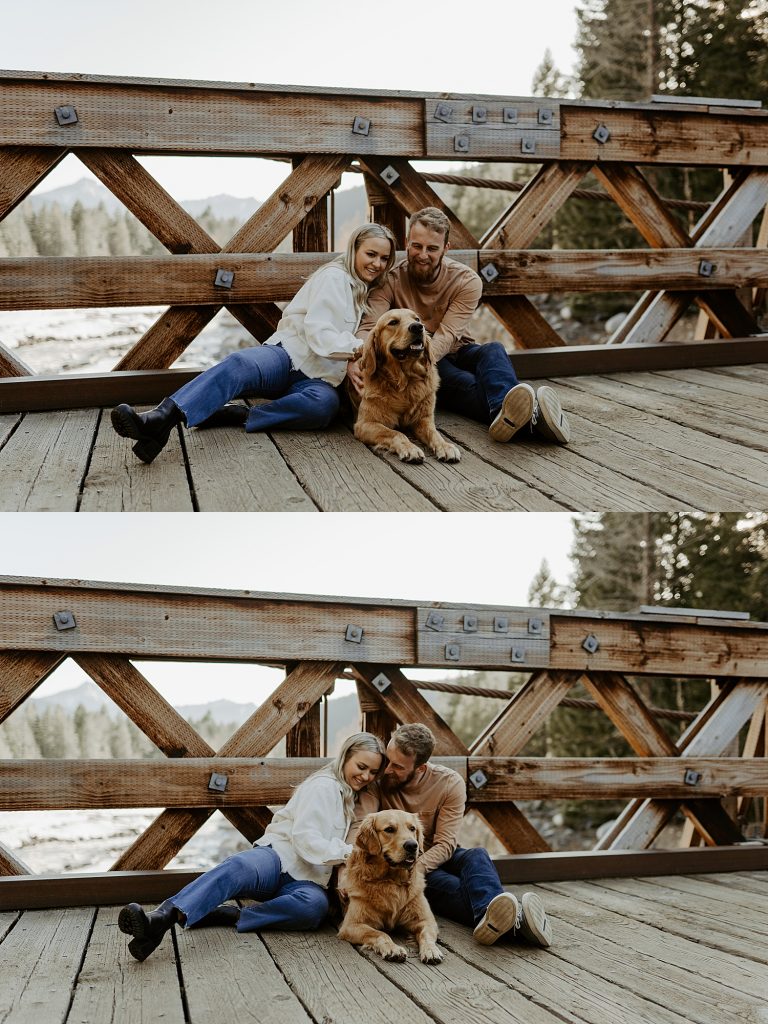 engagement photos with a golden retriever puppy