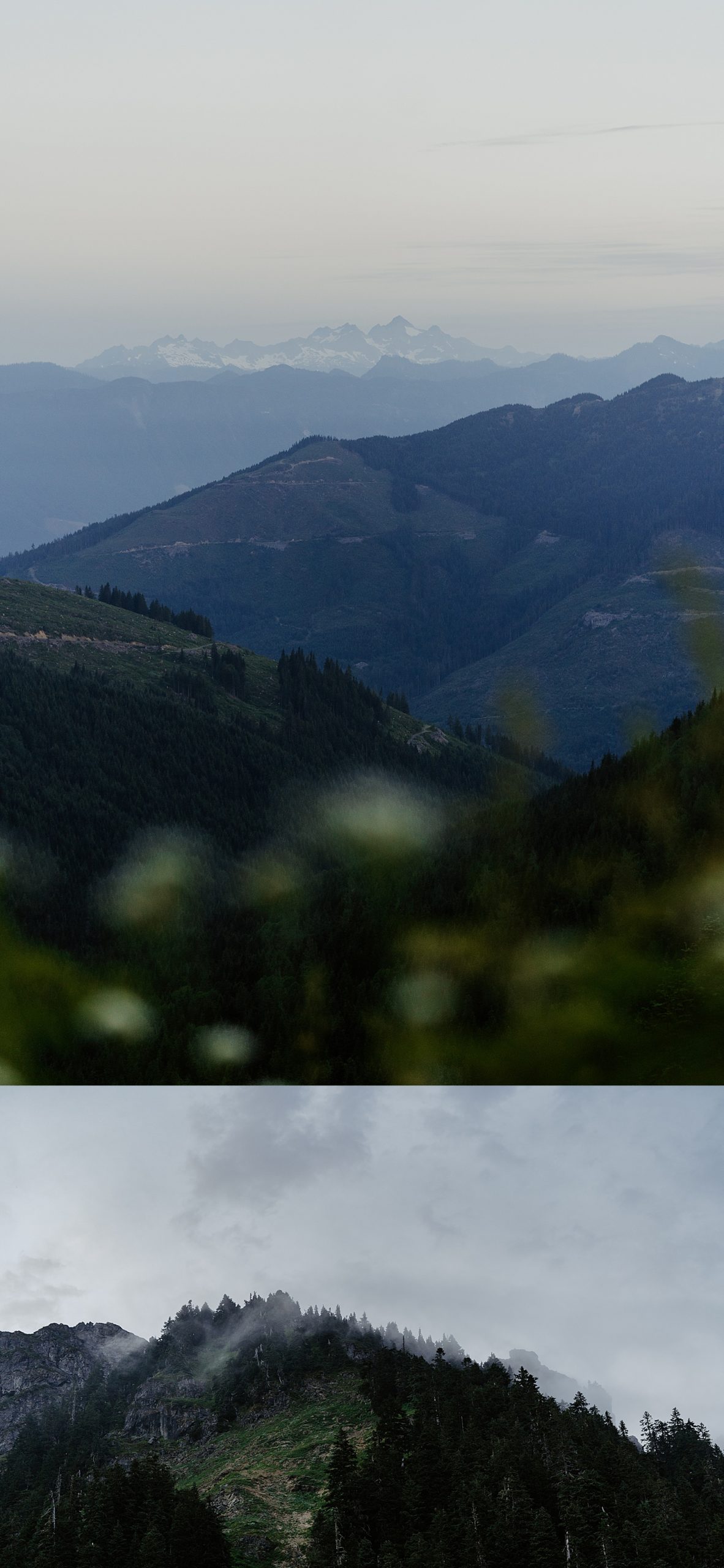 Mount Baker National Forest landscape photos