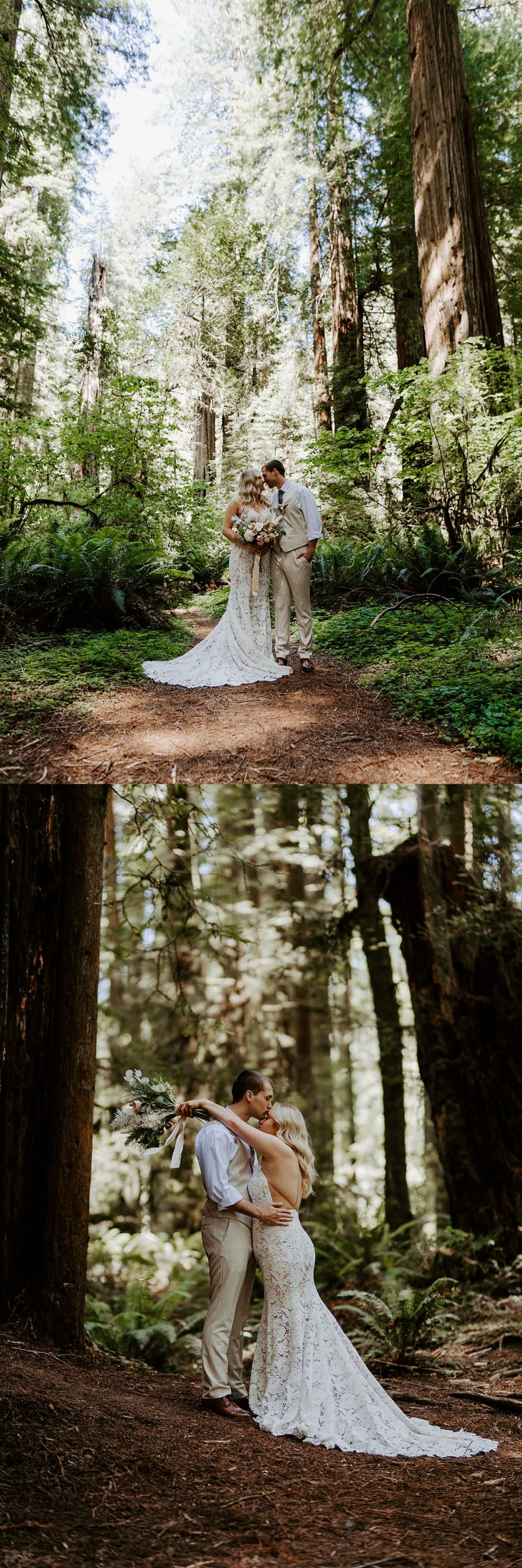 Redwoods State Park elopement portraits
