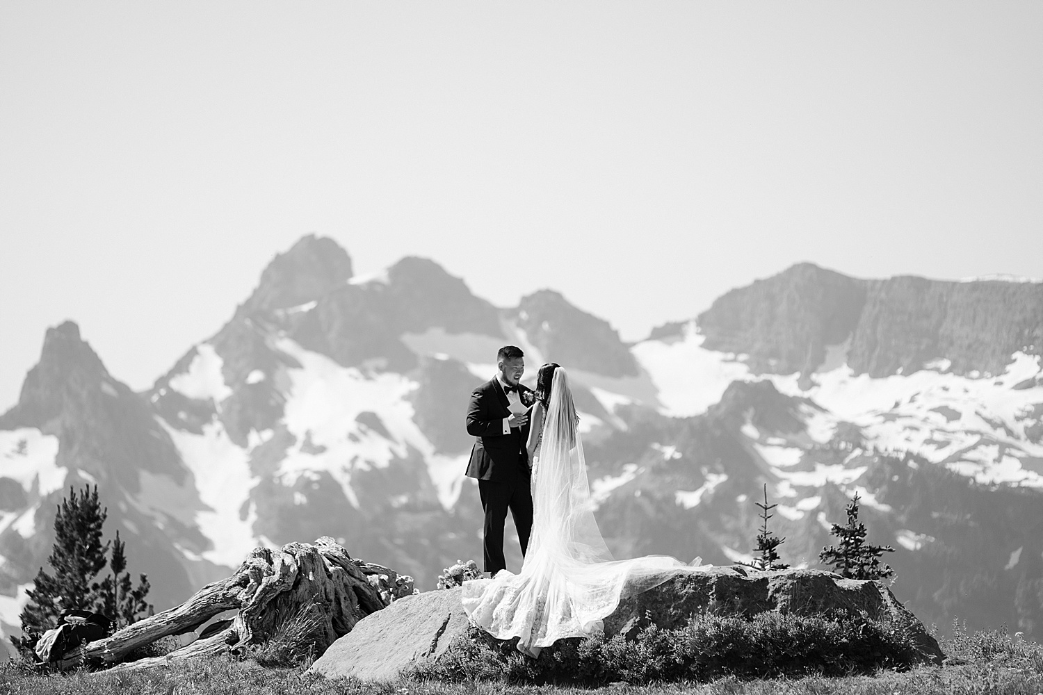 Paradise Mount Rainier and Ohanapecosh Elopement