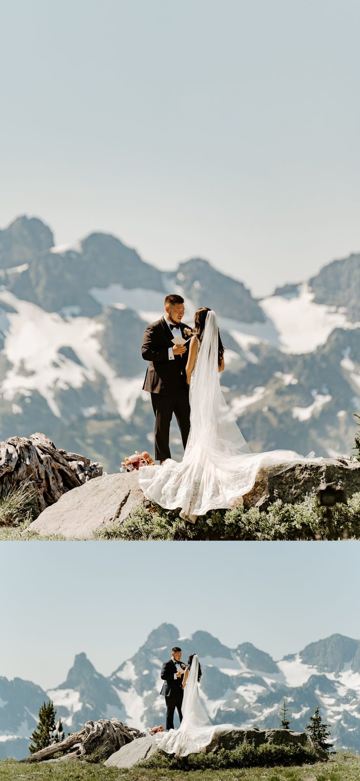 Paradise Mount Rainier and Ohanapecosh Elopement