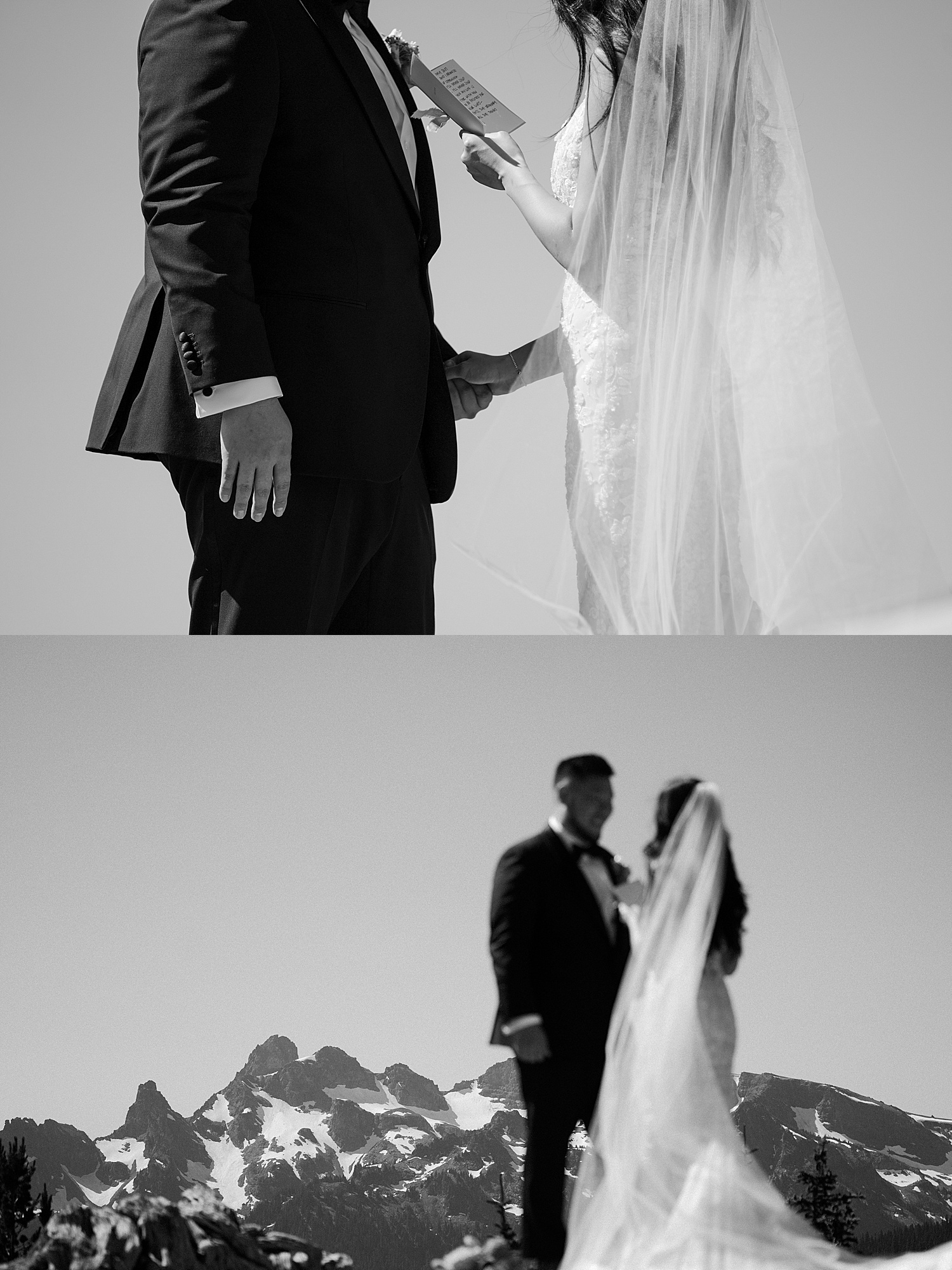 Paradise Mount Rainier and Ohanapecosh Elopement