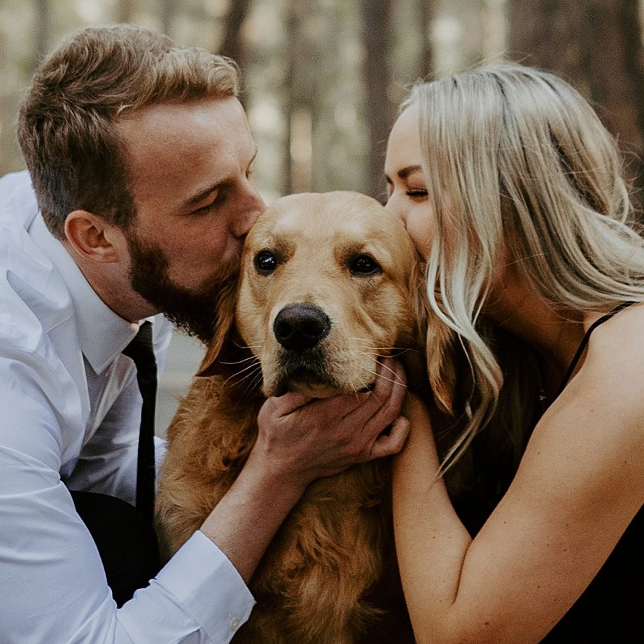 engaged couple posing with their golden retriever for photos