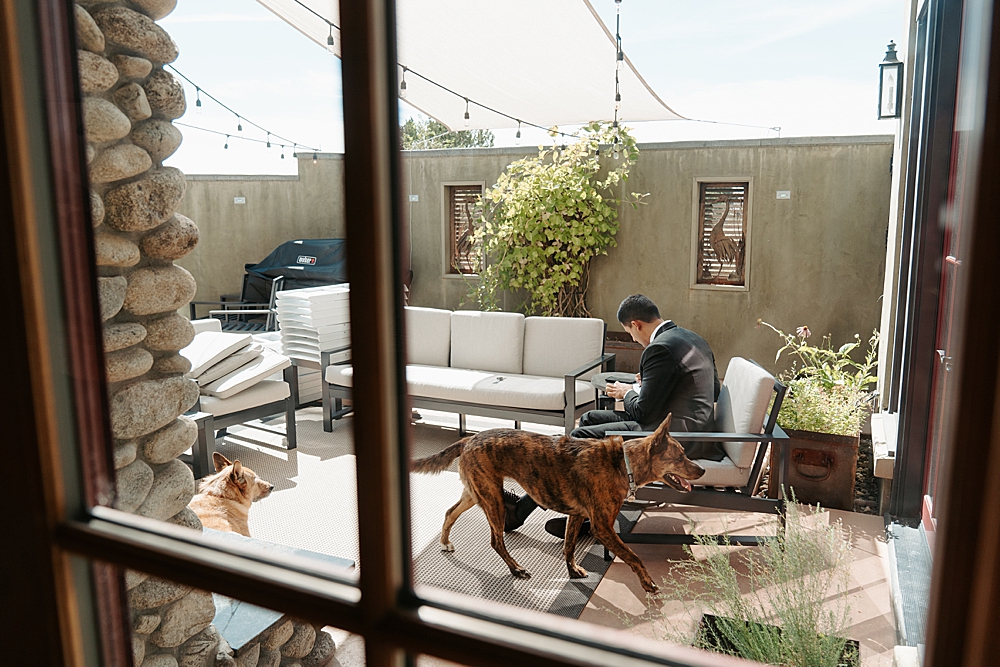 Image of a groom writing his vows through a window. The groom's dogs are walking around him while he sits and copies his vows from his phone. 