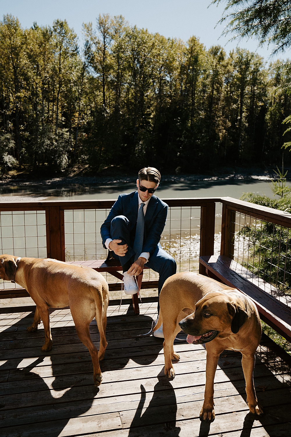 Groom putting his hand-embroidered white converse on while sitting on a bench and his two dogs in the foreground.