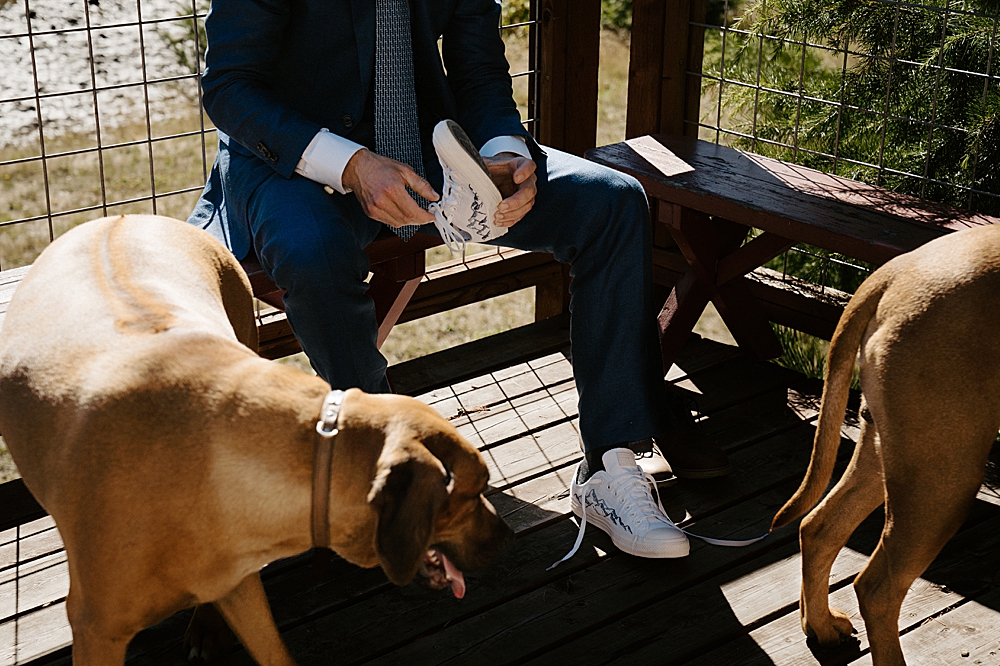 Groom putting hand-embroidered converse on with his two dogs in the foreground.