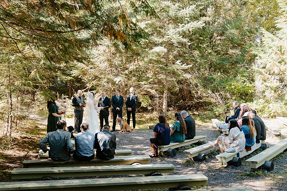 Small wedding celebration at Avalanche Amphitheater