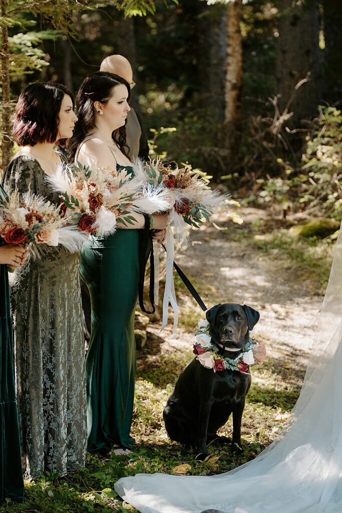 Bridesmaids holding a black lab with a floral collar during a small wedding ceremony in Glacier National Park