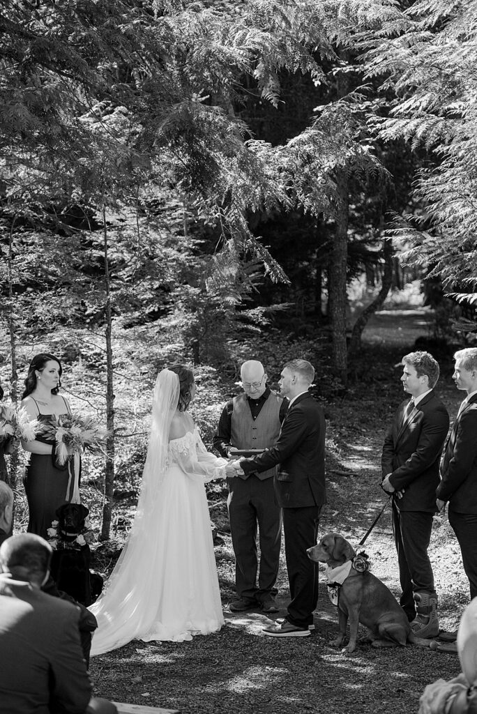 Avalanche Amphitheater small wedding ceremony