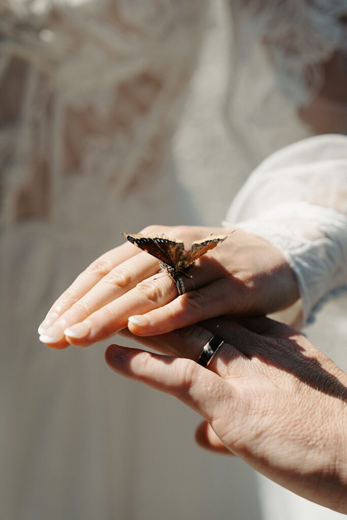 Up close image of bride and groom's hands with their wedding rings and a butterfly on the bride's ring