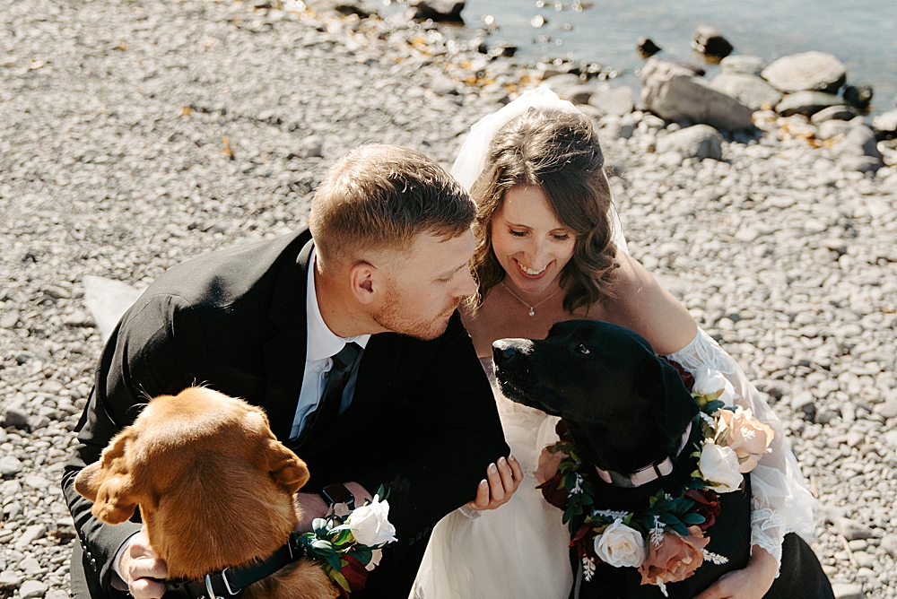 Bride and groom kneeling at Lake McDonald Beach to pet their two labs