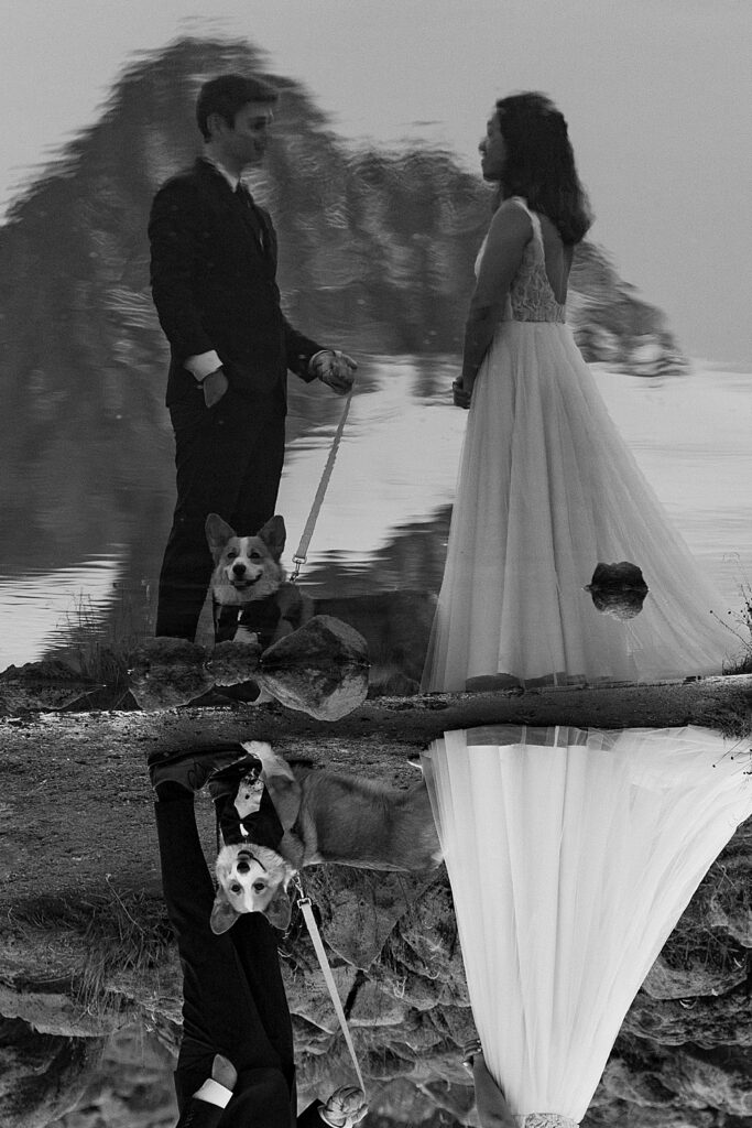 Black & white reflection in a pond of bride and groom saying vows and their corgi pup in a tux. 