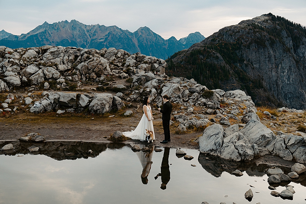 Mount Baker-Snoqualmie National Forest elopement ceremony at sunrise with a dog.