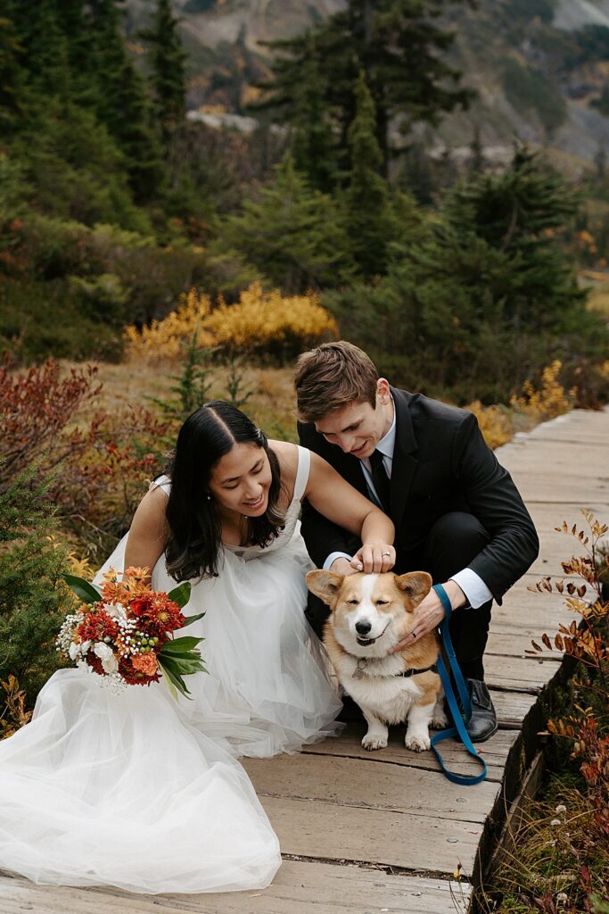 Bride holding a fall bouquet kneeling next to grom while they pet a corgi in front of them. 