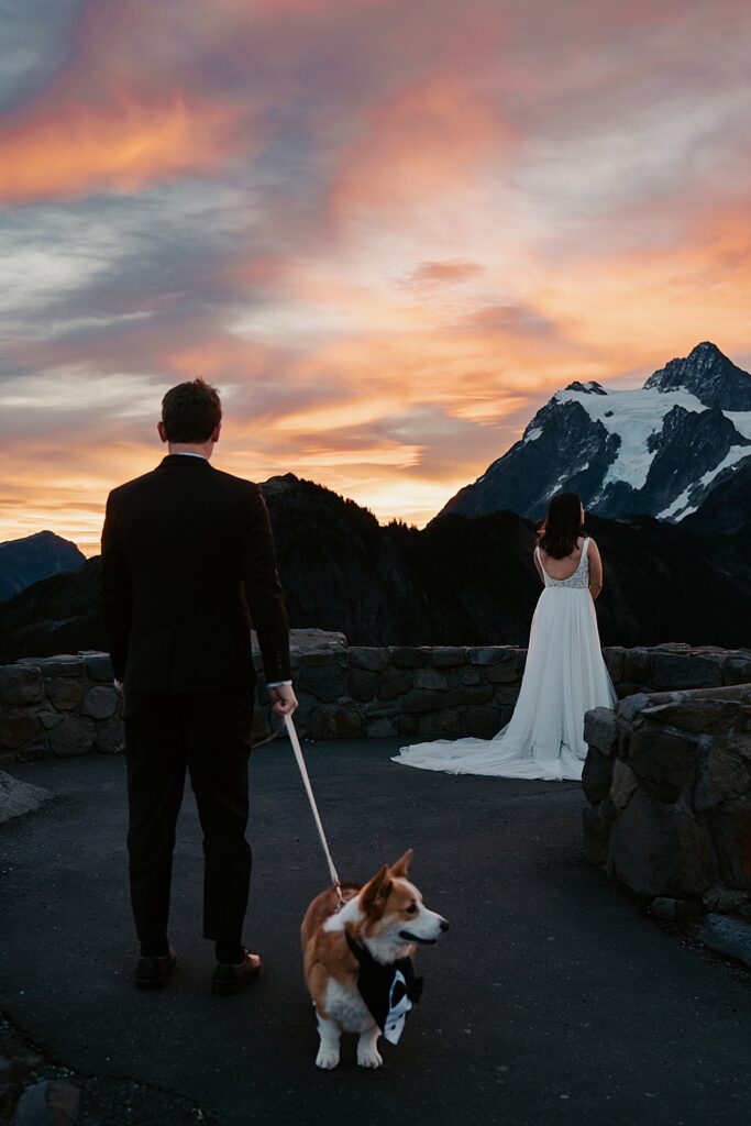 Bride in a wedding dress facing Mount Shuksan with groom standing behind her holding a leashed corgi pup for their sunrise first look.