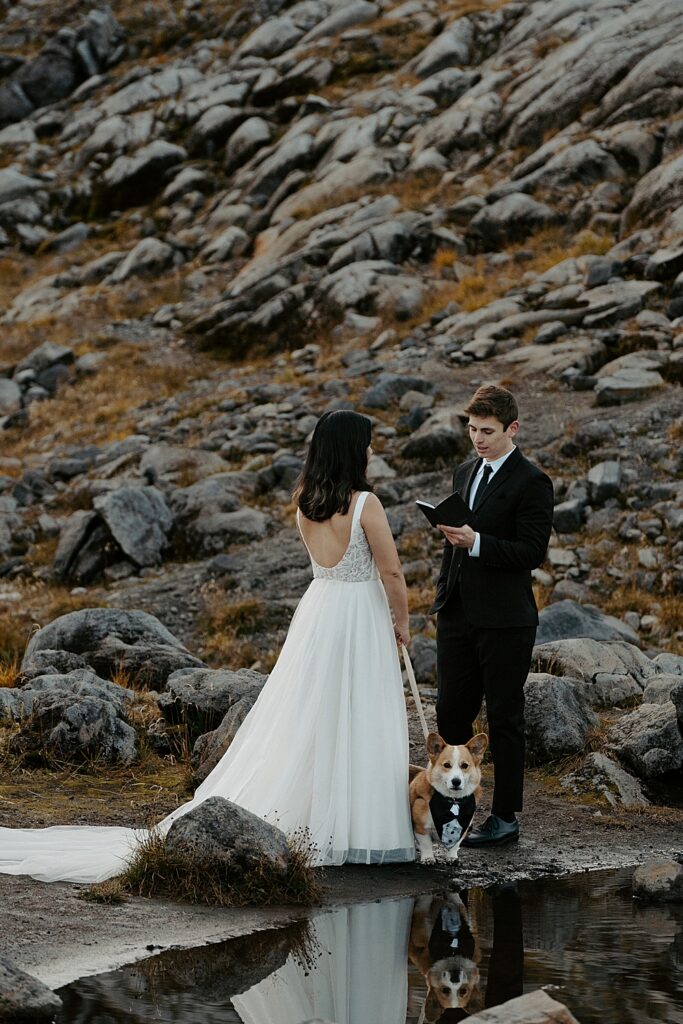 Groom saying private vows at dog-friendly elopement location in Mount Baker-Snoqualmie National Forest with their leashed corgi.