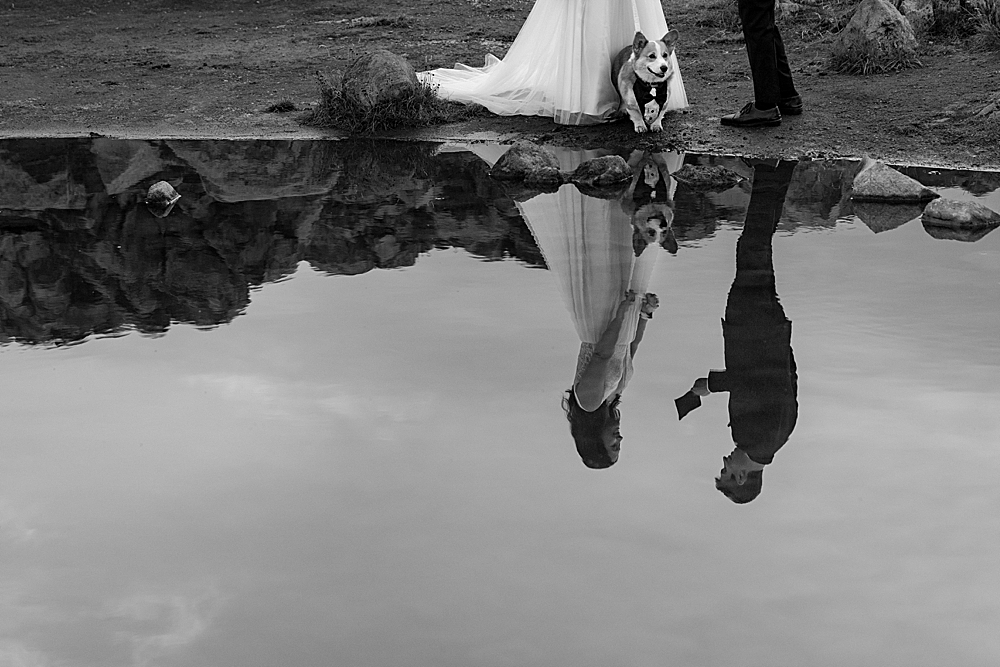 Black & white of a pond reflecting a groom saying private vows to his bride with their corgi.