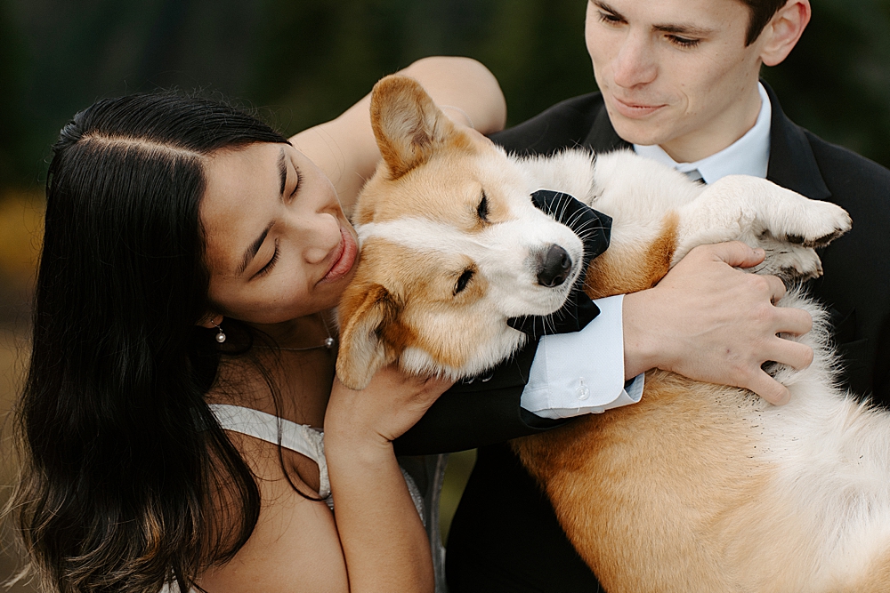 Up close of bride and groom loving on their corgi.