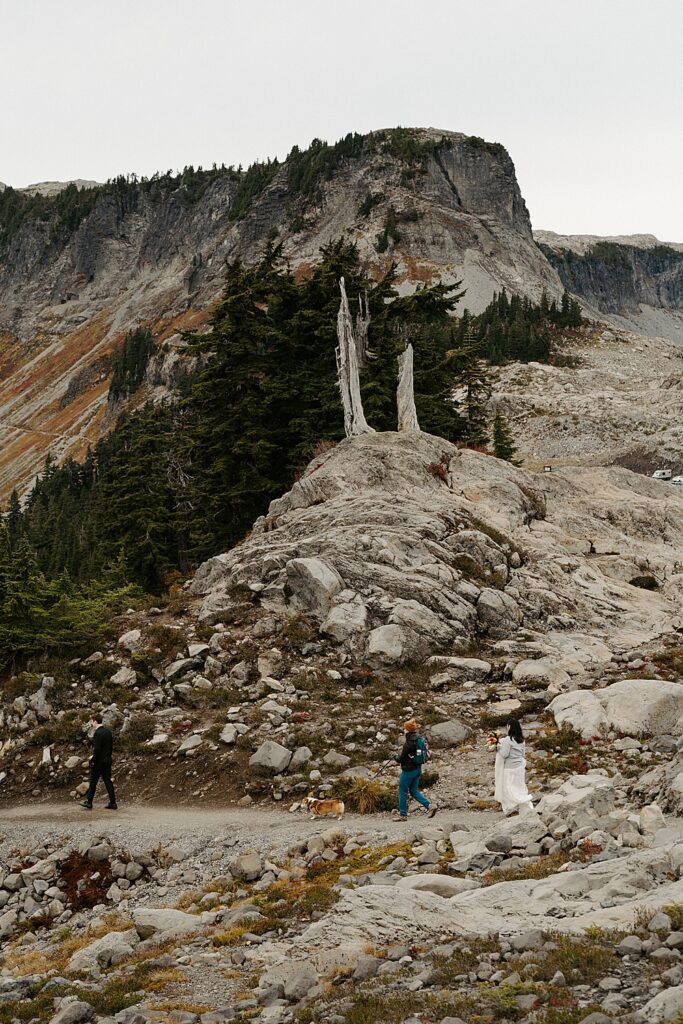 Far away image of bride, groom, dog-handler, and leashed corgi pup walking on a trail for their Mount Baker elopement.