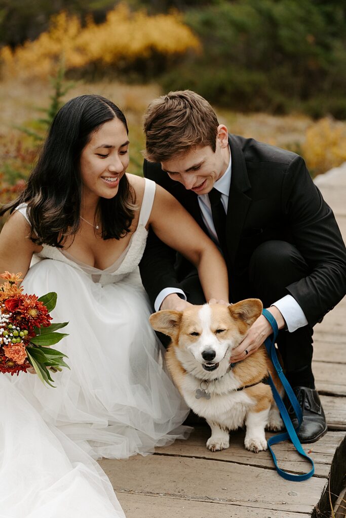 Bride and groom kneeling on a wooden bridge petting their corgi.
