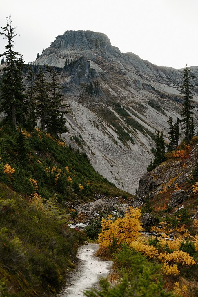 Photo of fall colors at Bagley Lakes