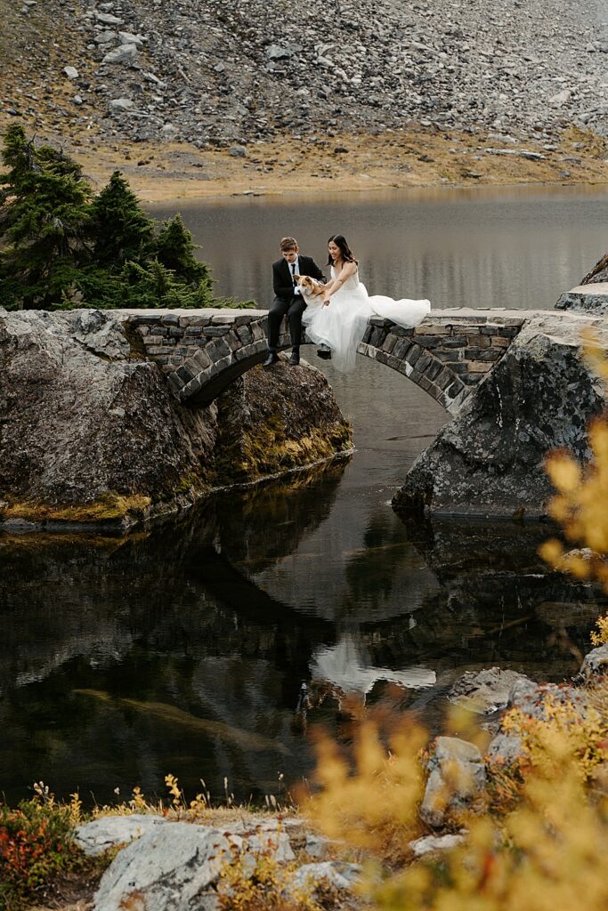 Bride, groom, and corgi pup sitting on a stone bridge for their fall Washington elopement.