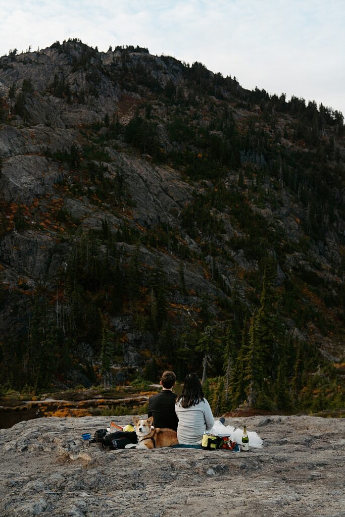 Bride, groom, and corgi pup sitting on a blanket on a rock having a picnic to celebrate their Mount Baker-Snoqualmie National Forest elopement.