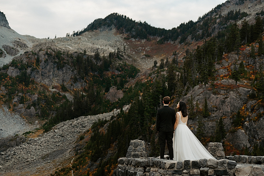 Bride and groom facing away from the camera holding hands with the WA mountains in front of them.