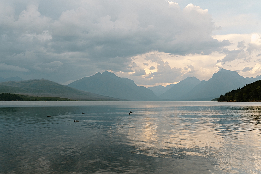 Cloudy evening on Apgar Beach at Lake McDonald with ducks swimming.